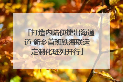 打造内陆便捷出海通道 新乡首班铁海联运定制化班列开行