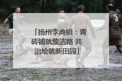 扬州李典镇：青砖铺就整洁路 共治绘就新田园