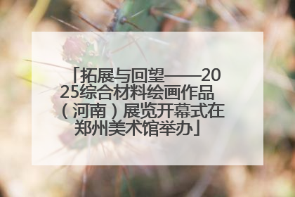 拓展与回望——2025综合材料绘画作品（河南）展览开幕式在郑州美术馆举办