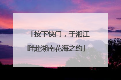 按下快门，于湘江畔赴湖南花海之约