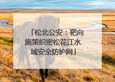 松北公安：靶向施策织密松花江水域安全防护网