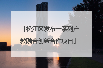 松江区发布一系列产教融合创新合作项目