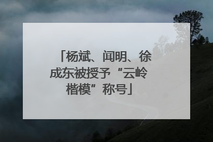 杨斌、闻明、徐成东被授予“云岭楷模”称号