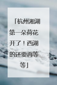 杭州湘湖第一朵荷花开了！西湖的还要再等等