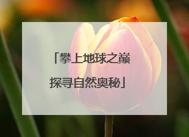 攀上地球之巅 探寻自然奥秘