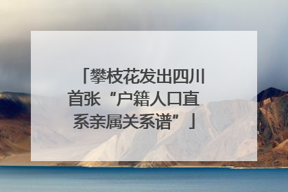 攀枝花发出四川首张“户籍人口直系亲属关系谱”