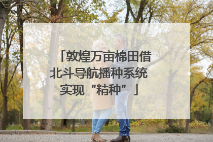 敦煌万亩棉田借北斗导航播种系统实现“精种”