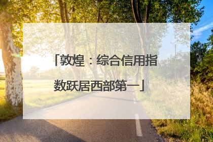 敦煌：综合信用指数跃居西部第一
