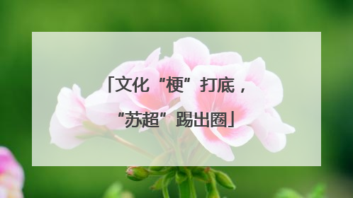 文化“梗”打底，“苏超”踢出圈