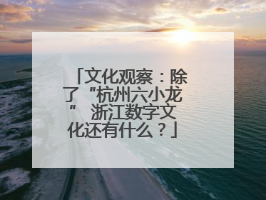 文化观察：除了“杭州六小龙” 浙江数字文化还有什么？