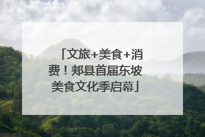 文旅+美食+消费！郏县首届东坡美食文化季启幕