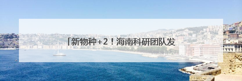 新物种+2！海南科研团队发现素贞灵芝和自然保护地壁虎