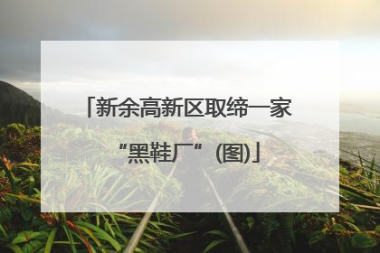 新余高新区取缔一家“黑鞋厂”(图)