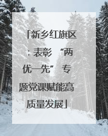 新乡红旗区：表彰 “两优一先” 专题党课赋能高质量发展