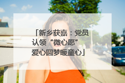 新乡获嘉：党员认领“微心愿” 爱心圆梦暖童心