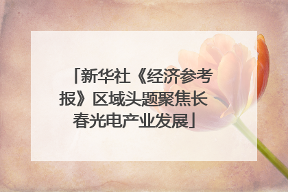 新华社《经济参考报》区域头题聚焦长春光电产业发展