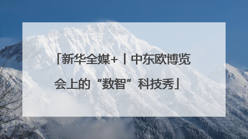 新华全媒+丨中东欧博览会上的“数智”科技秀