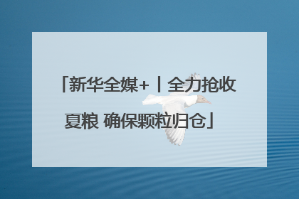 新华全媒+丨全力抢收夏粮 确保颗粒归仓
