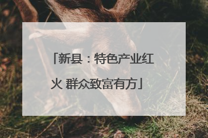 新县：特色产业红火 群众致富有方