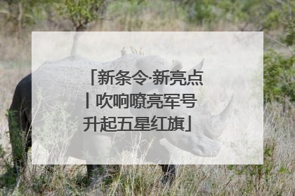 新条令·新亮点丨吹响嘹亮军号 升起五星红旗