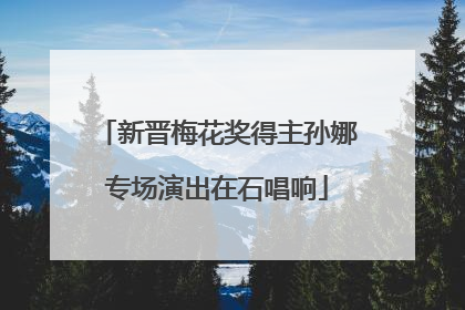 新晋梅花奖得主孙娜专场演出在石唱响