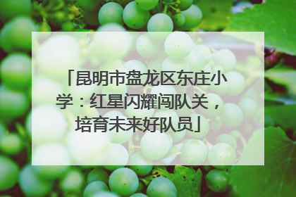 昆明市盘龙区东庄小学：红星闪耀闯队关，培育未来好队员