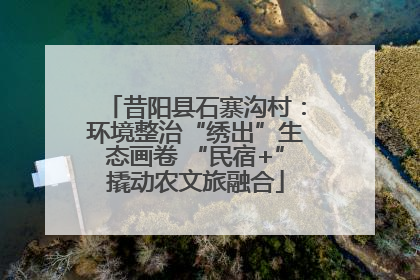 昔阳县石寨沟村：环境整治“绣出”生态画卷 “民宿+”撬动农文旅融合