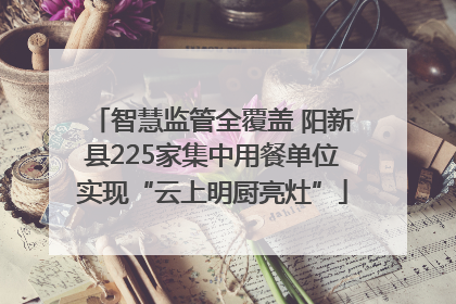 智慧监管全覆盖 阳新县225家集中用餐单位实现“云上明厨亮灶”