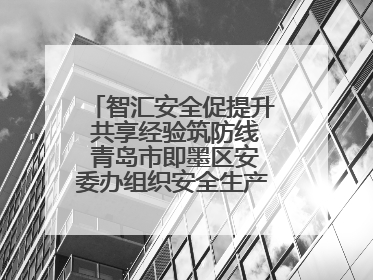 智汇安全促提升 共享经验筑防线 青岛市即墨区安委办组织安全生产共享专家现场观摩学习活动
