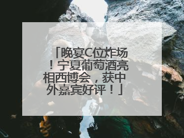 晚宴C位炸场！宁夏葡萄酒亮相西博会，获中外嘉宾好评！