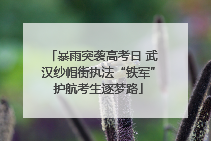暴雨突袭高考日 武汉纱帽街执法“铁军”护航考生逐梦路