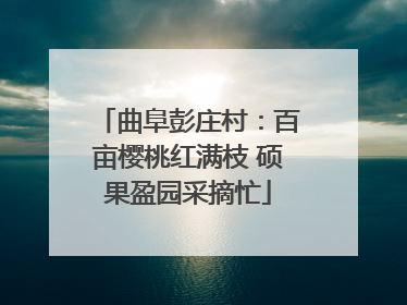 曲阜彭庄村：百亩樱桃红满枝 硕果盈园采摘忙