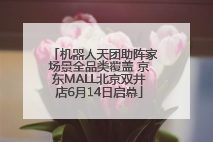 机器人天团助阵家场景全品类覆盖 京东MALL北京双井店6月14日启幕