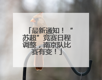 最新通知！“苏超”竞赛日程调整，南京队比赛有变！