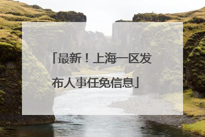 最新！上海一区发布人事任免信息