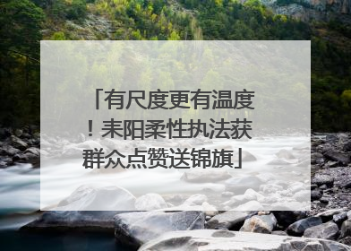 有尺度更有温度！耒阳柔性执法获群众点赞送锦旗