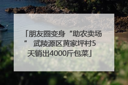 朋友圈变身“助农卖场” 武陵源区黄家坪村5天销出4000斤包菜