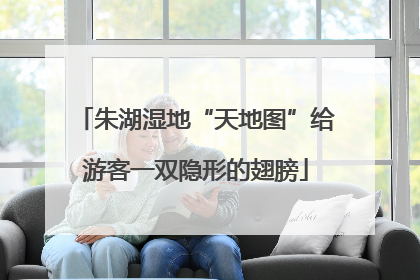 朱湖湿地“天地图”给游客一双隐形的翅膀