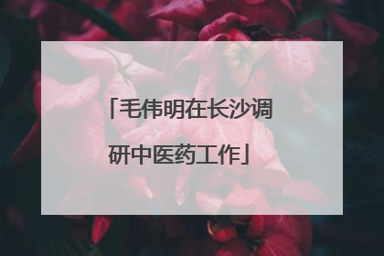 毛伟明在长沙调研中医药工作