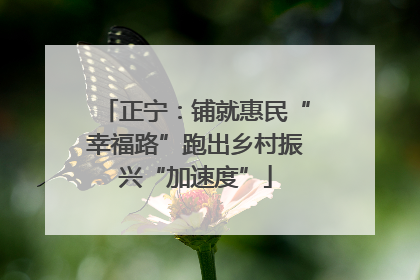 正宁：铺就惠民“幸福路”跑出乡村振兴“加速度”
