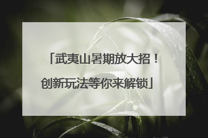 武夷山暑期放大招！创新玩法等你来解锁
