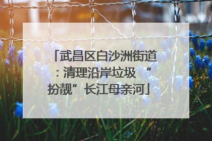 武昌区白沙洲街道：清理沿岸垃圾 “扮靓”长江母亲河