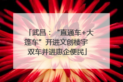 武昌：“直通车+大篷车”开进文创楼宇 双车并进惠企便民