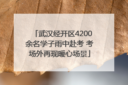 武汉经开区4200余名学子雨中赴考 考场外再现暖心场景