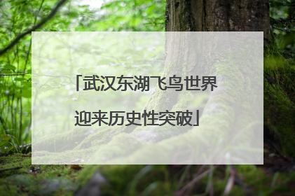 武汉东湖飞鸟世界迎来历史性突破
