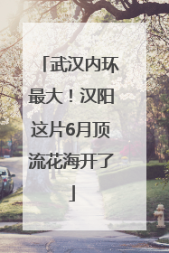 武汉内环最大！汉阳这片6月顶流花海开了