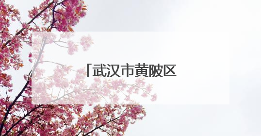 武汉市黄陂区入选全国首批综合类典型案例