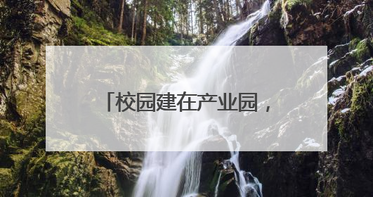 校园建在产业园，专业建在产业链