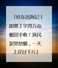 桂东出海记丨即墨丁字湾万亩蚬田丰收！渔民泥里挖蚬，一天上岸过千斤