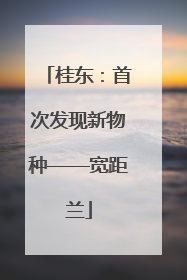 桂东：首次发现新物种——宽距兰